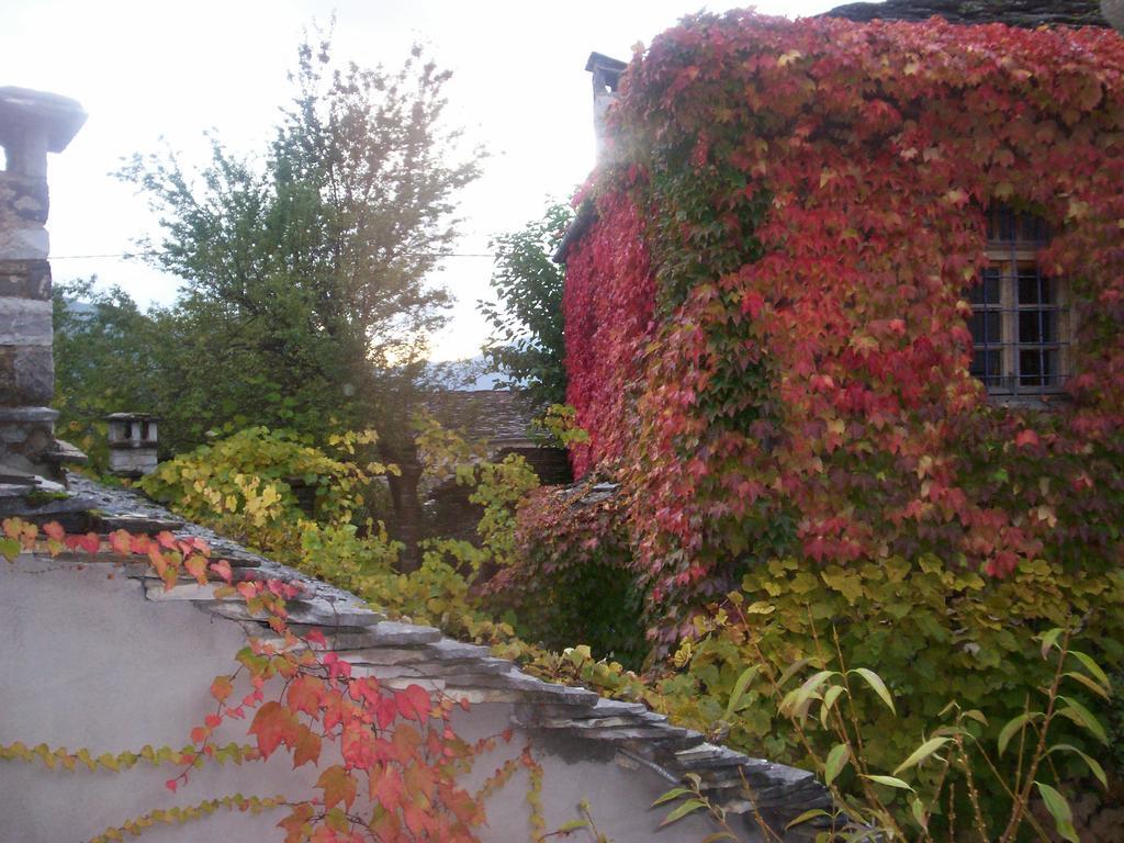 Saxonis Houses & Saxonis Villa 파피그콘 외부 사진